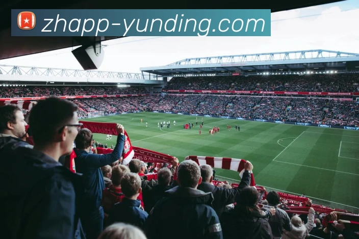 云顶官网平台生态图