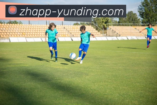 云顶官网APP 封面图